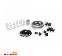 Variateur Malossi Pour Scooter Kymco 125 Super 8 2008 5114404 / Multivar 2000 Neuf