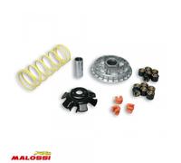 Variateur Malossi Pour Scooter Kymco 300 Agility I Après 2020 Neuf