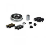 Variateur Malossi Pour Scooter Malaguti 150 F18 2000 À 2002 Neuf