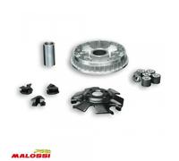 Variateur Malossi Pour Scooter Mbk 125 Tryptik 2014-2016 5116663 / Multivar 2000 Neuf