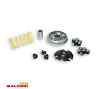 Variateur Malossi Pour Scooter Mbk 125 Ypr Skycruiser Abs 2011 À 2018 Neuf