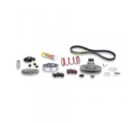 Variateur Malossi Pour Scooter Mbk 50 Forte 6112812 / Over Range Neuf
