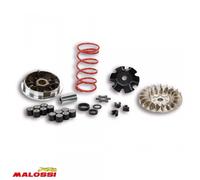 Variateur Malossi Pour Scooter Mbk 50 Nitro Lc 2t 2003 À 2018 Neuf