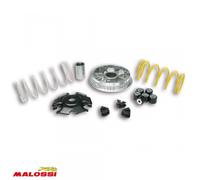 Variateur Malossi Pour Scooter Piaggio 125 Liberty 4t Après 2013 5116674 / Multivar 2000 Neuf
