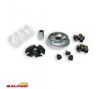 Variateur Malossi Pour Scooter Piaggio 300 Mp3 Ie Rl Yourban Sport 2011 À 2016 Neuf