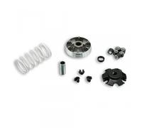 Variateur Malossi Pour Scooter Piaggio 50 Zip 4t 5111597 / Multivar 2000 Neuf