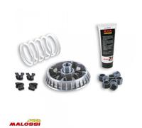 Variateur Malossi Pour Scooter Piaggio 500 Mp3 Sport Abs 2014 À 2016 Neuf