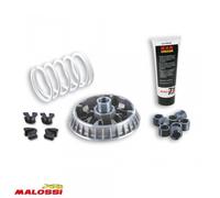 Variateur Malossi Pour Scooter Piaggio 500 Mp3 Sport Sans Abs 2014 À 2018 Neuf