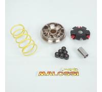 Variateur Malossi Pour Scooter Suzuki 50 Katana Avant 1998 51 7128 Multivar Neuf