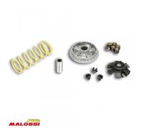 Variateur Malossi Pour Scooter Sym 300 Gts Efi Abs 2013 À 2016 Neuf