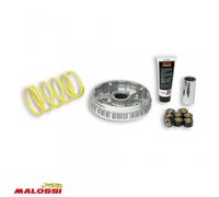 Variateur Malossi Pour Scooter Yamaha 250 Xmax 2006 5111225 / Multivar 2000 Neuf