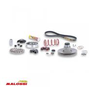 Variateur Malossi Pour Scooter Yamaha 50 Slider 6112811 / Over Range Neuf