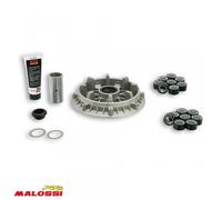 Variateur Malossi Pour Scooter Yamaha 500 T-Max 2001 À 2003 Neuf