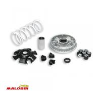 Variateur Malossi Scooter Suzuki 125 Epicuro 2001 5111324 / Multivar 2000 Neuf