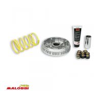 Variateur Malossi Scooter Yamaha 250 X-City 2008 5111225 / Multivar 2000 Neuf