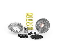 Variateur Multivar 2000 compatible avec Yamaha Mio I 125 4T 2019-> E3R2E Malossi 5118401