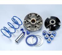 Variateur Polini