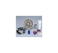 Variateur POLINI Hi-Speed - Yamaha Xmax 125/MBK Cityliner