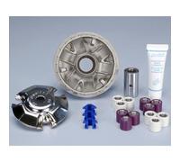 Variateur Polini Maxi-Speed Yamaha 125 X-Max