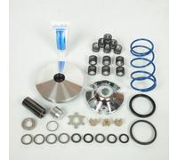 Variateur Polini Pour Scooter Benelli 50 491 St Neuf