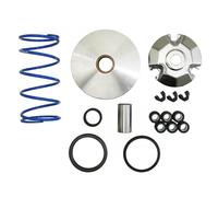 Variateur Polini Pour Scooter Keeway 50 Focus 2006 À 2020 Neuf