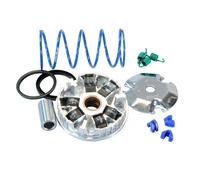 Variateur Polini Pour Scooter Malaguti 50 Ciak Neuf