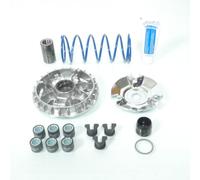 Variateur Polini Pour Scooter Piaggio 125 Vespa Primavera I-Get 241.766 Neuf