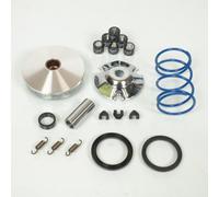 Variateur Polini Pour Scooter Piaggio 50 Zip 4t 2006 À 2017 Neuf