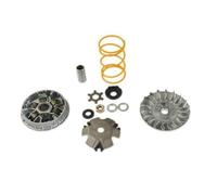 variateur Scooter Top Perf GP Trophy Compatible avec booster/bws/nitro/sr50/f12/stunt (avc Ressort)