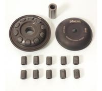 Variateur Yasuni Pour Scooter Peugeot 50 Ludix Pro 2005 À 2013 Neuf