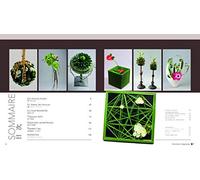 Variations végétales - Jeux de feuilles pour créations vertes