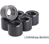 Variator-Rollen 16,0 g - 20 x 12 mm Set mit 8 Stück