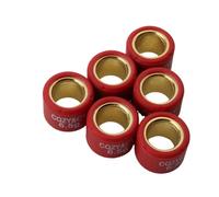 Variator Rollers 16x13mm 4g-7g Rouleau Poids compatibles avec 50cc 2T 4T comme Agility Dink Fever - MXER People Sento Super 8 et Modèles similaires(6.5G)