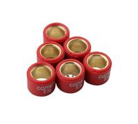 Variator Rollers 16x13mm 4g-7g Rouleau Poids compatibles avec 50cc 2T 4T comme Agility Dink Fever - MXER People Sento Super 8 et Modèles similaires(5.5G)