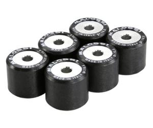 variator rouleaux MALOSSI 12,5 g, 20 x 17 mm