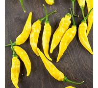 Variétés de graines de légumes - 100Pcs / Sac Graines de piment jaune Croissance rapide Plants de légumes comestibles vivaces pour balcon Enfants Débutants Jardiniers Cadeau -1#