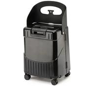 Varigne avec siège pour Les Enfants, Rouler sur Une Valise pour Enfants Brotte verrouillable de 20 Pouces sur Une Valise avec siège et 4 Roues à Spinner Bagages à Service Lourd compartimental avec ti