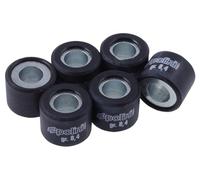 variomatik Poids POLINI 16 x 13 mm