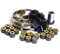 variomatik Racing pour moteurs Piaggio AC & LC, Aprilia SR50 Mojito, Gilera Stalker Ice Storm Typhoon, Piaggio Zip Fly NRG TPH Sfera, Vespa LX S