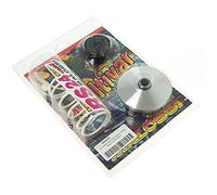 Variomatique MALOSSI Muvar - NSC50R 50 ie 4T euro 2