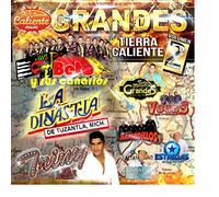 VARIOS - GRANDES DE TIERRA CALIENTE VOL. 2