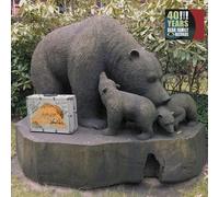 Various 40 Years Bear Family Records (CD)