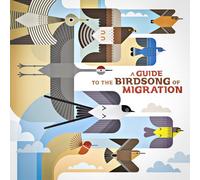 Vinyle Shika Shika A Guide to the Birdsong of Migration LP 33T Compilation Electro 2025 Multicolore