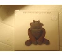 ANDREW THORN-BRUTES – On the Quiet – CD