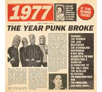 The Year Punk Broke