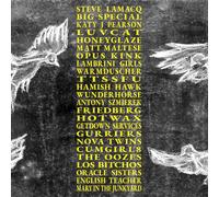 Various Artists A Hideous Collective (Vinyl) 12" Album (Clear vinyl)