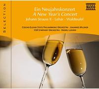 Various Artists - A new year's concert