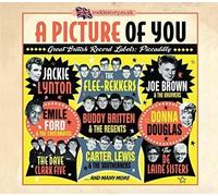 Various Artists - A Picture of You. [Import]