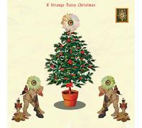 Various Artists - A Strange Daisy Christmas (Various Artists) [Compact Discs]