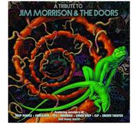 Various Artists – A Tribute to Jim Morrison & the Doors – Vinyle